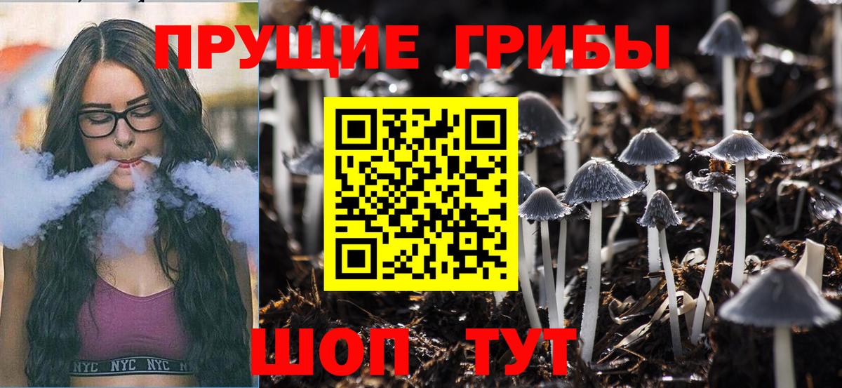 Псилоцибиновые грибы MAGIC MUSHROOMS  Псилоцибиновые грибы MAGIC MUSHROOMS  Вход с VPN  Дедовск 